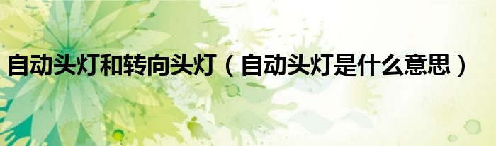 自动头灯和转向头灯（自动头灯是什么意思）