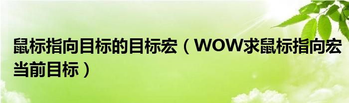 鼠标指向目标的目标宏（WOW求鼠标指向宏当前目标）