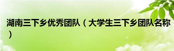 湖南三下乡优秀团队（大学生三下乡团队名称）