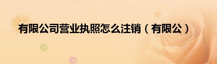 有限公司营业执照怎么注销（有限公）