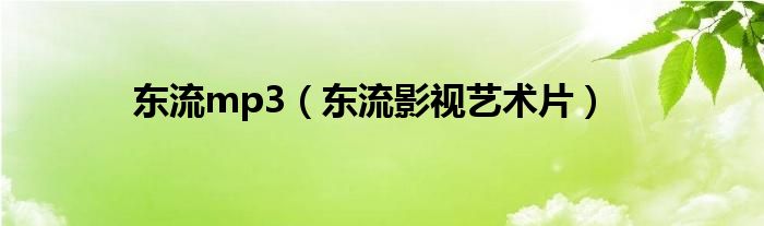 东流mp3（东流影视艺术片）