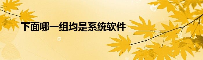 下面哪一组均是系统软件 __________