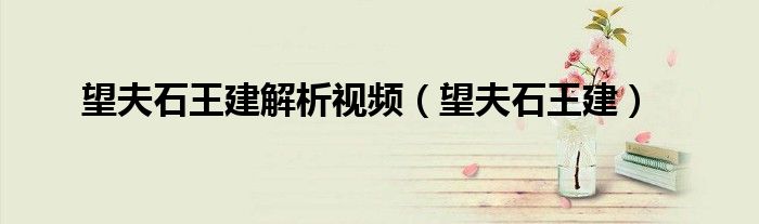 望夫石王建解析视频（望夫石王建）