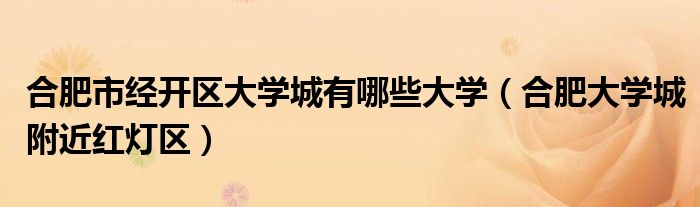 合肥市经开区大学城有哪些大学（合肥大学城附近红灯区）