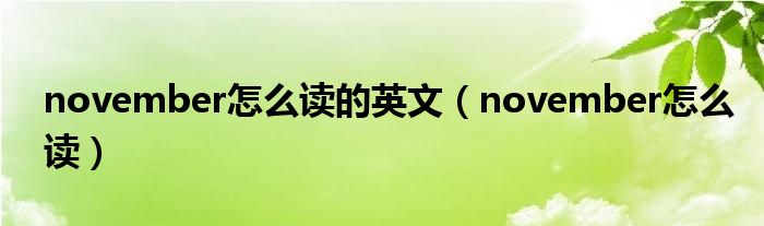november怎么读的英文（november怎么读）