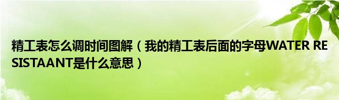 精工表怎么调时间图解（我的精工表后面的字母WATER RESISTAANT是什么意思）