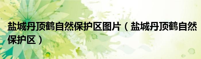 盐城丹顶鹤自然保护区图片（盐城丹顶鹤自然保护区）