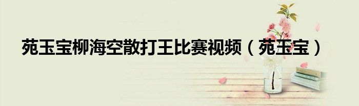 苑玉宝柳海空散打王比赛视频（苑玉宝）