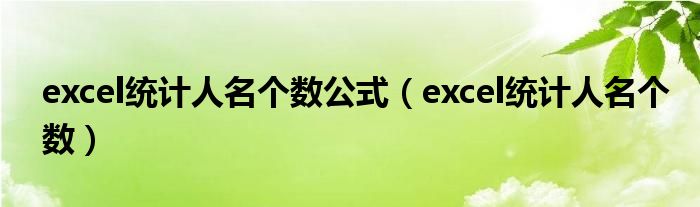 excel统计人名个数公式（excel统计人名个数）