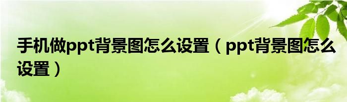 手机做ppt背景图怎么设置（ppt背景图怎么设置）