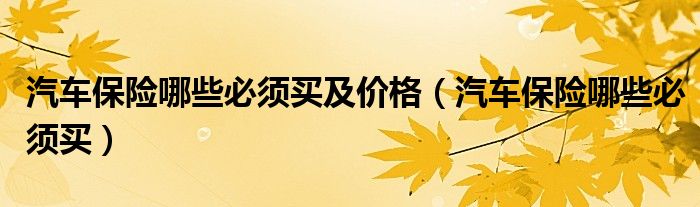 汽车保险哪些必须买及价格（汽车保险哪些必须买）