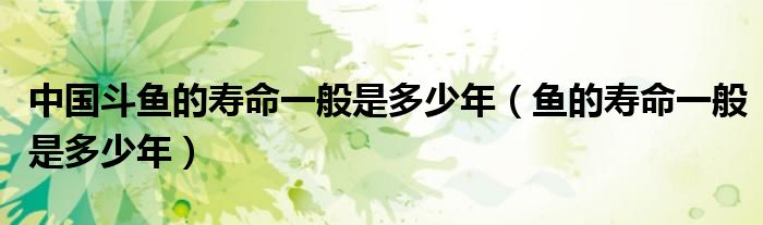 中国斗鱼的寿命一般是多少年（鱼的寿命一般是多少年）