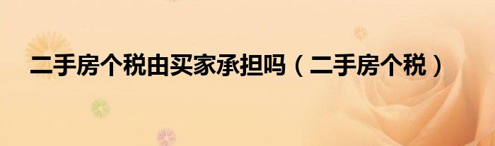 二手房个税由买家承担吗（二手房个税）