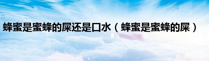 蜂蜜是蜜蜂的屎还是口水（蜂蜜是蜜蜂的屎）