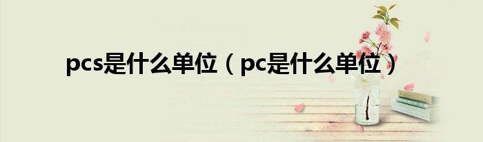pcs是什么单位（pc是什么单位）