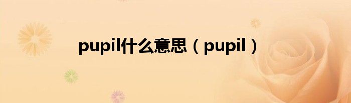 pupil什么意思（pupil）
