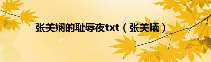 张美娴的耻辱夜txt（张美曦）