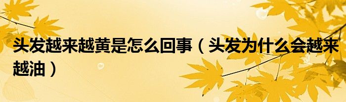 头发越来越黄是怎么回事（头发为什么会越来越油）