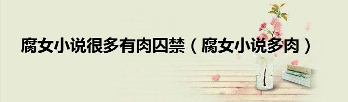 腐女小说很多有肉囚禁（腐女小说多肉）