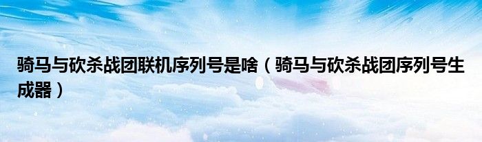 骑马与砍杀战团联机序列号是啥（骑马与砍杀战团序列号生成器）