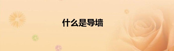 什么是导墙