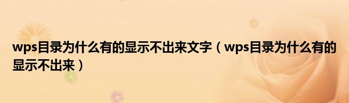 wps目录为什么有的显示不出来文字（wps目录为什么有的显示不出来）