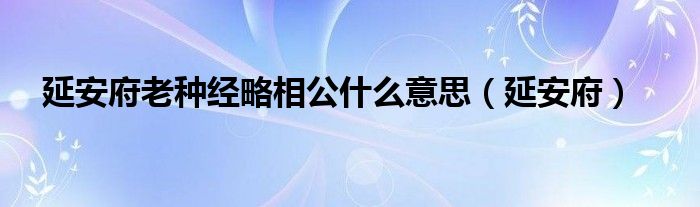 延安府老种经略相公什么意思（延安府）