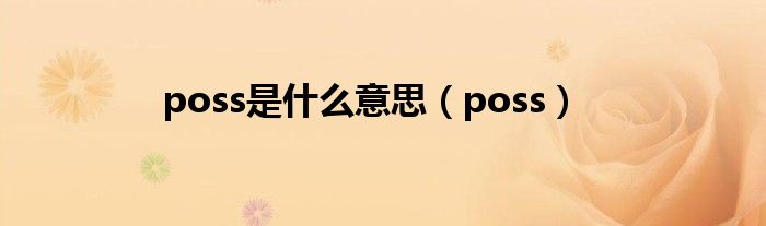 poss是什么意思（poss）