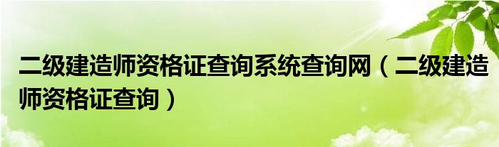 二级建造师资格证查询系统查询网（二级建造师资格证查询）