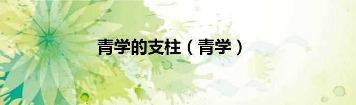 青学的支柱（青学）