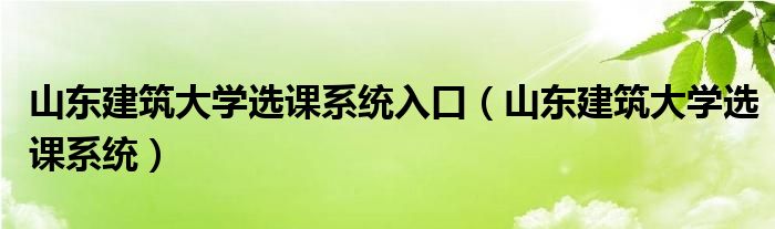 山东建筑大学选课系统入口（山东建筑大学选课系统）