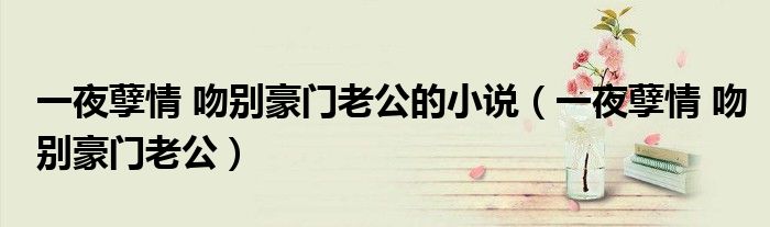 一夜孽情 吻别豪门老公的小说（一夜孽情 吻别豪门老公）