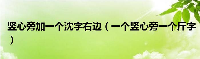 竖心旁加一个沈字右边（一个竖心旁一个斤字）