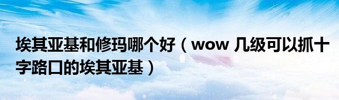 埃其亚基和修玛哪个好（wow 几级可以抓十字路口的埃其亚基）