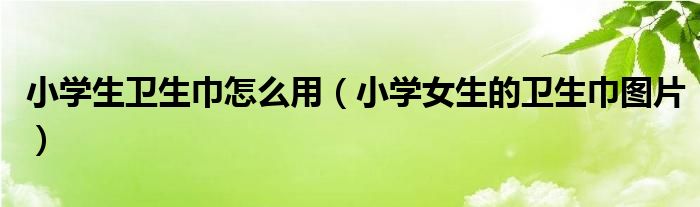 小学生卫生巾怎么用（小学女生的卫生巾图片）