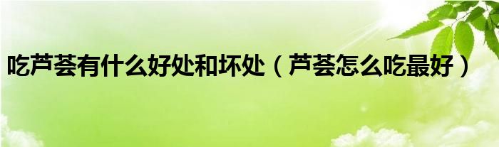 吃芦荟有什么好处和坏处（芦荟怎么吃最好）