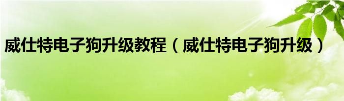 威仕特电子狗升级教程（威仕特电子狗升级）