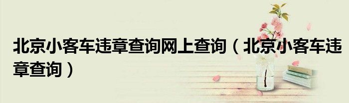 北京小客车违章查询网上查询（北京小客车违章查询）