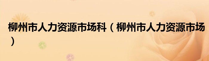 柳州市人力资源市场科（柳州市人力资源市场）