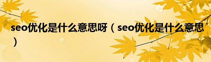 seo优化是什么意思呀（seo优化是什么意思）