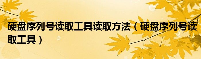 硬盘序列号读取工具读取方法（硬盘序列号读取工具）