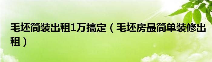 毛坯简装出租1万搞定（毛坯房最简单装修出租）