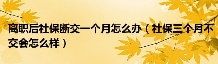 离职后社保断交一个月怎么办（社保三个月不交会怎么样）