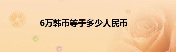 6万韩币等于多少人民币