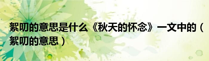 絮叨的意思是什么《秋天的怀念》一文中的（絮叨的意思）