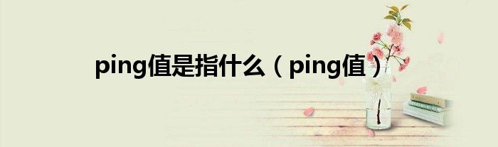 ping值是指什么（ping值）