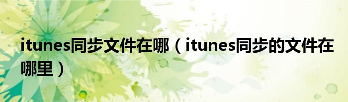 itunes同步文件在哪（itunes同步的文件在哪里）