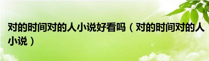 对的时间对的人小说好看吗（对的时间对的人小说）