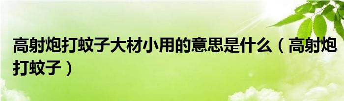 高射炮打蚊子大材小用的意思是什么（高射炮打蚊子）