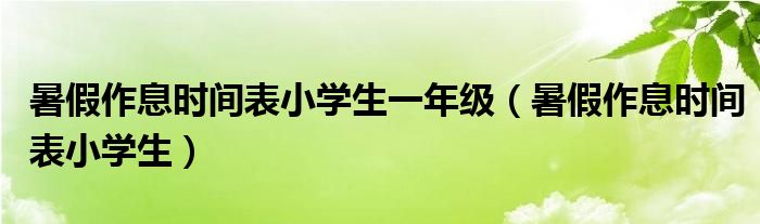 暑假作息时间表小学生一年级（暑假作息时间表小学生）